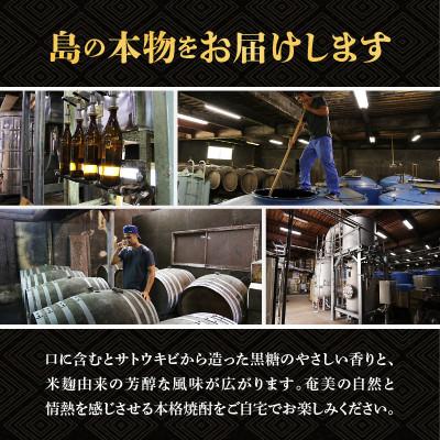 ふるさと納税 知名町 奄美黒糖焼酎 昇龍 30度　900ml×2本 |  | 03