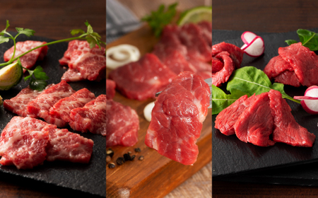 「熊本特産」 フジチク厳選ふじ馬刺し6種セット	