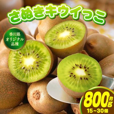 ふるさと納税 三木町 小さくて可愛らしいキウイ　さぬきキウイっこ　約800g
