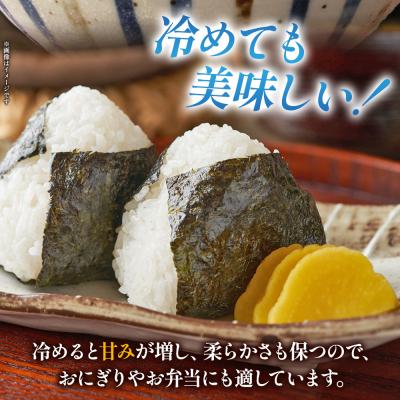 ふるさと納税 西予市 先行予約<令和8年産 米 にじのきらめき 精米 約5kg えひめ りの果樹園 |  | 02