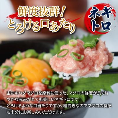 ふるさと納税 田野町 【四国一小さなまち】訳あり鯛の漬け丼&マグロのネギトロ 80g×各10P |  | 02