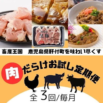 【C90001】 ＜定期便・全3回＞肝付町セレクト定期便《肉だらけお試し定期便》