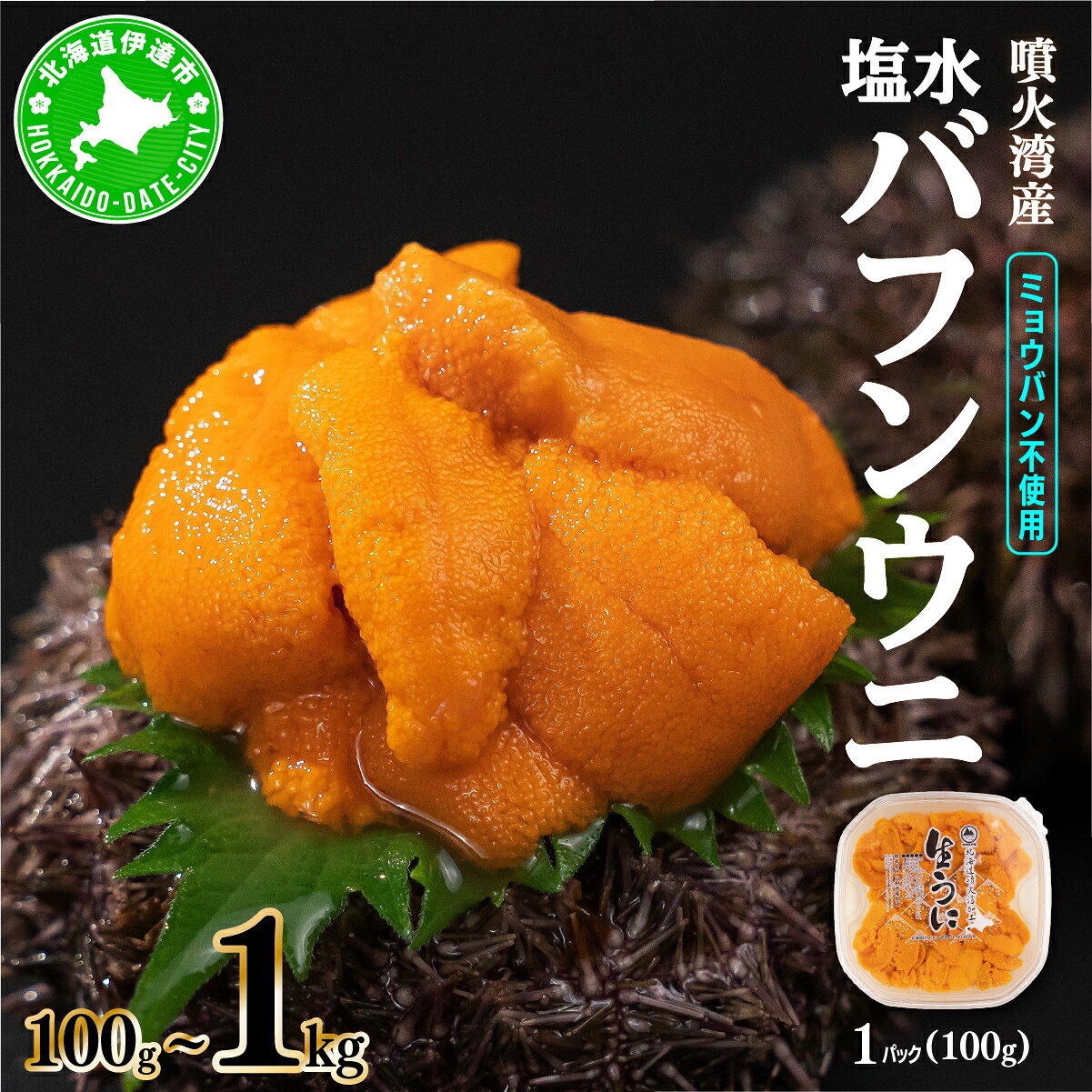 【ふるさと納税】極上 100％国産 北海道噴火湾産 天然 塩水バフンウニ 100g 〜1kg 《アフター保証付き》国産 ミョウバン不使用 うに ウニ 厳選 海鮮 海産物 魚介 ウニ丼 寿司 刺身 濃厚 無添加 産地直送 産直 お取り寄せ ギフト グルメ 北海道産 伊達市 山村水産