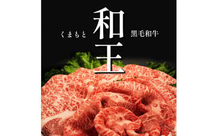 【 定期便 6回 】 和王 贅沢食べ尽くしコース A5 等級 牛肉 