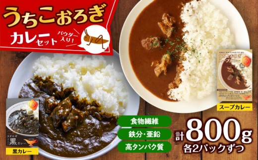 カレー うちこおろぎスープカレー2個と定番コオロギ黒カレー2個セット／国産牛肉 タンパク質 食物繊維 鉄分 亜鉛 保存食 防災 内子町コオロギ こおろぎ 昆虫食 タンパク質 カレー スープカレー 詰め合わせ 愛媛 内子町 国産 ふるさと納税 お取り寄せ ギフト 特産品 四国 愛媛県 内子 返礼品 お礼 産地直送 特産品 【株式会社ヒューネット風の谷うちこおろぎファーム】 [BKBN003]