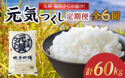 九州・福岡からお届け！ブランド米「元気つくし」定期便 10kg(5㎏×2)【全6回】 お米 米 コメ 白米 特A 直送 お弁当 おにぎり 炊きたて ツヤ 粘り もちもち 弾力 卵かけご飯 福岡県 八女市