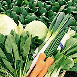 【ふるさと納税】自然豊かな浜田市弥栄町で作られた「旬の野菜おまかせセット」 野菜 野菜セット 旬 詰め合わせ セット おまかせ おたのしみ ギフト 【065_0228】