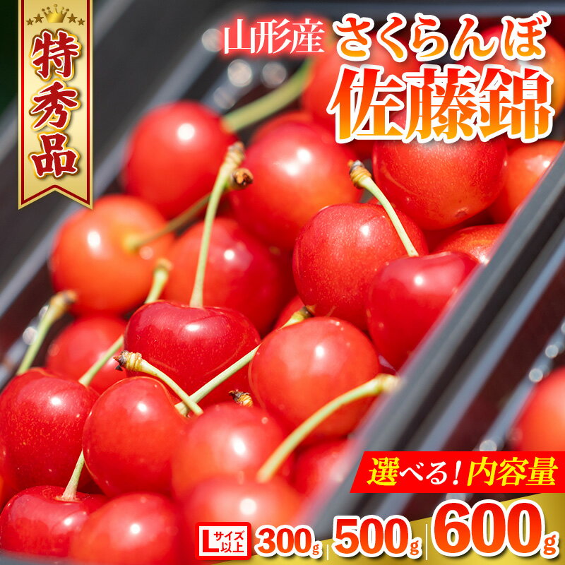 【ふるさと納税】 山形県産 さくらんぼ「佐藤錦」300g 500g 600g 特秀品 Lサイズ以上 【令和8年産先行予約】FS24-805
