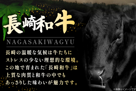 牛肉 和牛 牛一頭プレミアム定期便「長崎和牛をまるごと堪能」 12回 総計17.1kg