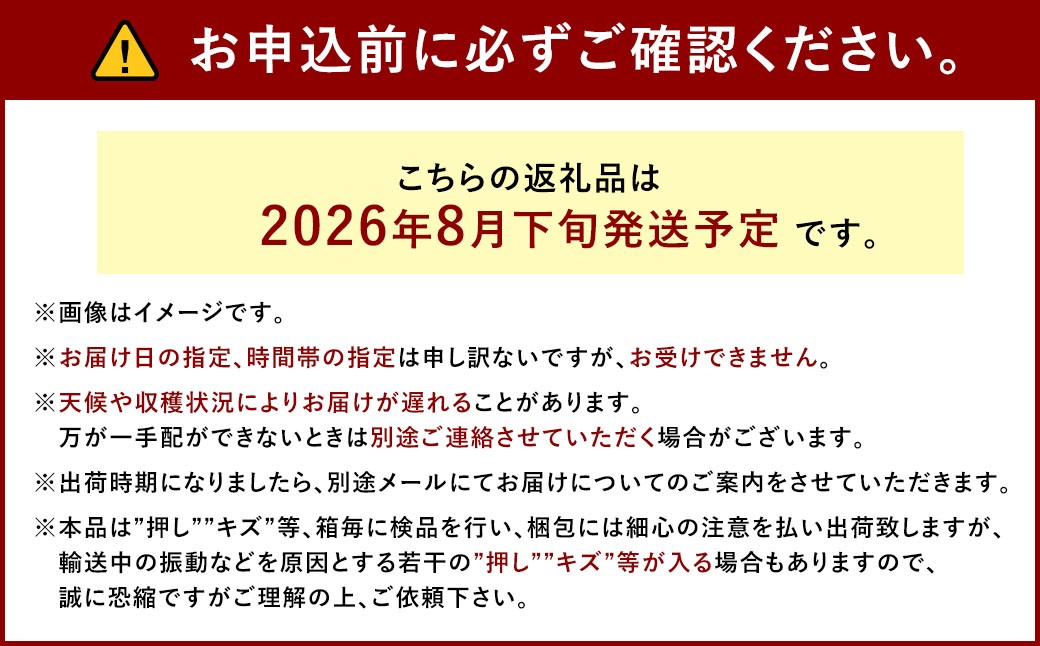 ぶどう 2026年 先行予約 ニュー ピオーネ 3～4房 合計2kg以上
