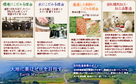 黒毛和牛　特上焼肉極み500g　宮崎有田牧場　EMO牛　国産牛肉＜1.8-23＞