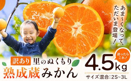 訳あり 熟成みかん 4.5kg 《1月上旬-3月上旬出荷》徳島 柑橘 ミカン 蜜柑 フルーツ 青果物 徳島県 佐那河内村