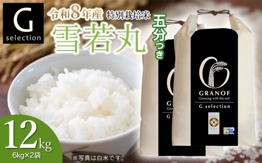 【令和8年産先行予約】 特別栽培米 Gセレクション 雪若丸 12kg (6kg×2袋) 【五分づき】 山形県鶴岡市産　株式会社グラノフ