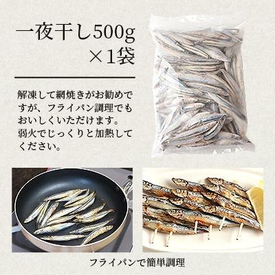 ふるさと納税 枕崎市 枕崎産 きびなご【合計2kg】冷凍 一夜干し 唐揚げ用 詰め合わせ A3-110 |  | 02