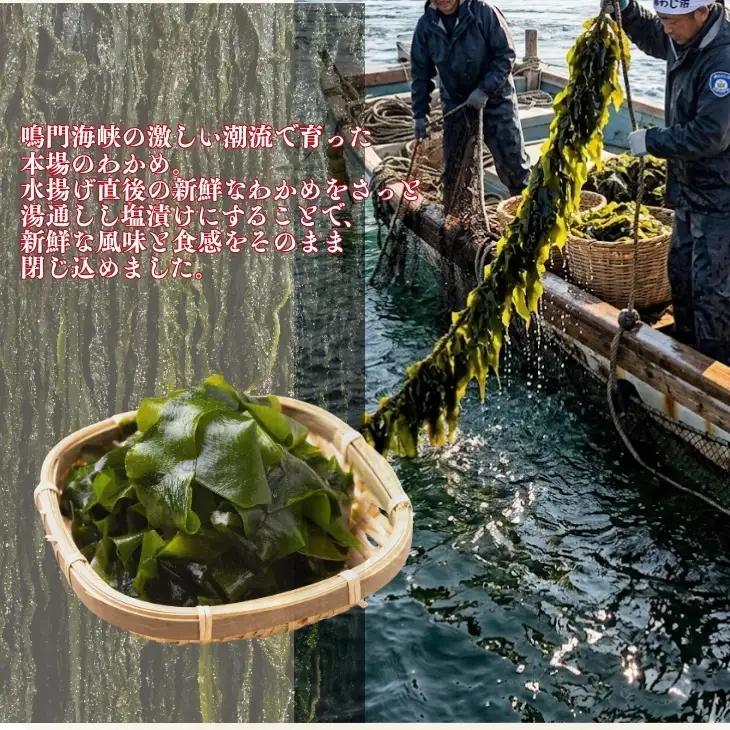 淡路島鳴門本場肉厚 塩わかめ　220g×5袋入り