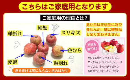 ★フルーツ王国山形★【ご家庭用】小玉サンふじりんご(無袋) 優品 約5kg(玉数おまかせ)【1月発送】 FY25-439