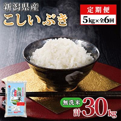 ふるさと納税 見附市 【毎月定期便】新潟県産 こしいぶき(無洗米) 5kg【計30kg】全6回