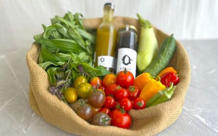 季節の有機野菜セット2～3人分  [AXBV007] 北海道 旬 詰め合わせ