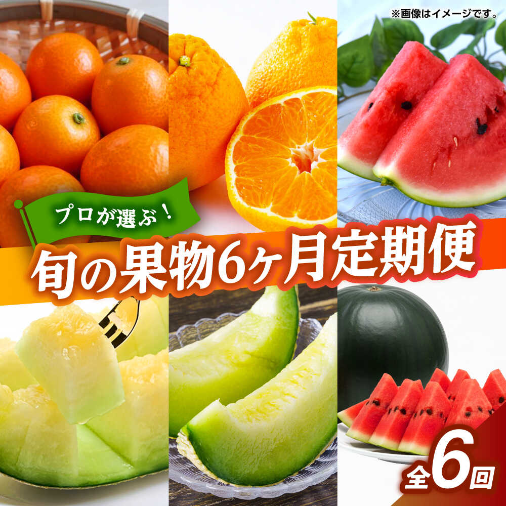 【ふるさと納税】フルーツ6ヶ月定期便【2月〜7月】果物 フルーツ 定期便 定期 旬の果物を厳選！ きんかん 不知火 すいか 小玉スイカ メロン 熊本県 山鹿市 送料無料【くまふる】[ZBG077]