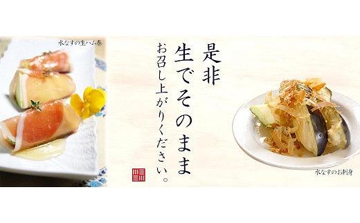 北野農園【農家直送】ワケあり泉州水なす20個