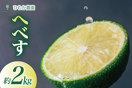 【期間限定発送】 へべす 宮崎 種が少ない ひむか農園のへべす 2kg 化粧箱入り  [ひむか農園 宮崎県 日向市 452061161]