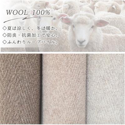 ふるさと納税 和泉市 【江戸間4.5畳】快適ウール100%カーペット ブラウン (ポルト 江戸間4.5畳BR) |  | 02