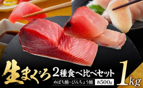 生まぐろ２種食べ比べセット　1kg【一部離島配送不可】那智勝浦町 本場 鮮魚 生まぐろ 赤身 食べ比べ セット 人気 おすすめ 海鮮 魚介 刺身 グルメ 本まぐろ 本マグロ まぐろ マグロ 鮪 maguro