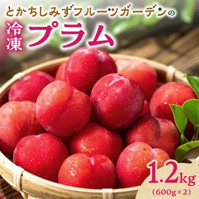 ふるさと納税 清水町 【2026年発送!】とかちしみずフルーツガーデンの冷凍プラム1.2kg 北海道産_S009-0019