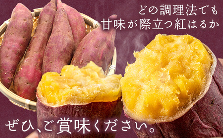 【2025年先行予約】さつまいも 紅はるか 約5kg 株式会社シグマサポート《2025年10月中旬-12月中旬頃出荷予定(土日祝除く)》送料無料 サツマイモ 三重県 東員町 お菓子 おやつ 紅はるか 