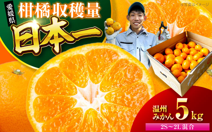 【先行予約】【12月上旬から順次発送】酸味さわやか愛媛じるし! 温州みかん 5kg （2Sから2L混合サイズ） みかん 愛媛 みかん 果物 くだもの フルーツ 愛媛県大洲市/玉川農園 [AGBC005]