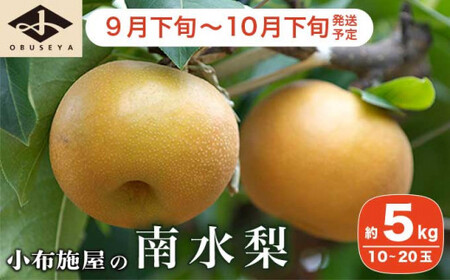 先行受付 南水梨 約5kg 10-20玉 ［小布施屋］令和8年産 【2026年9月下旬～10月下旬発送】［A-210］