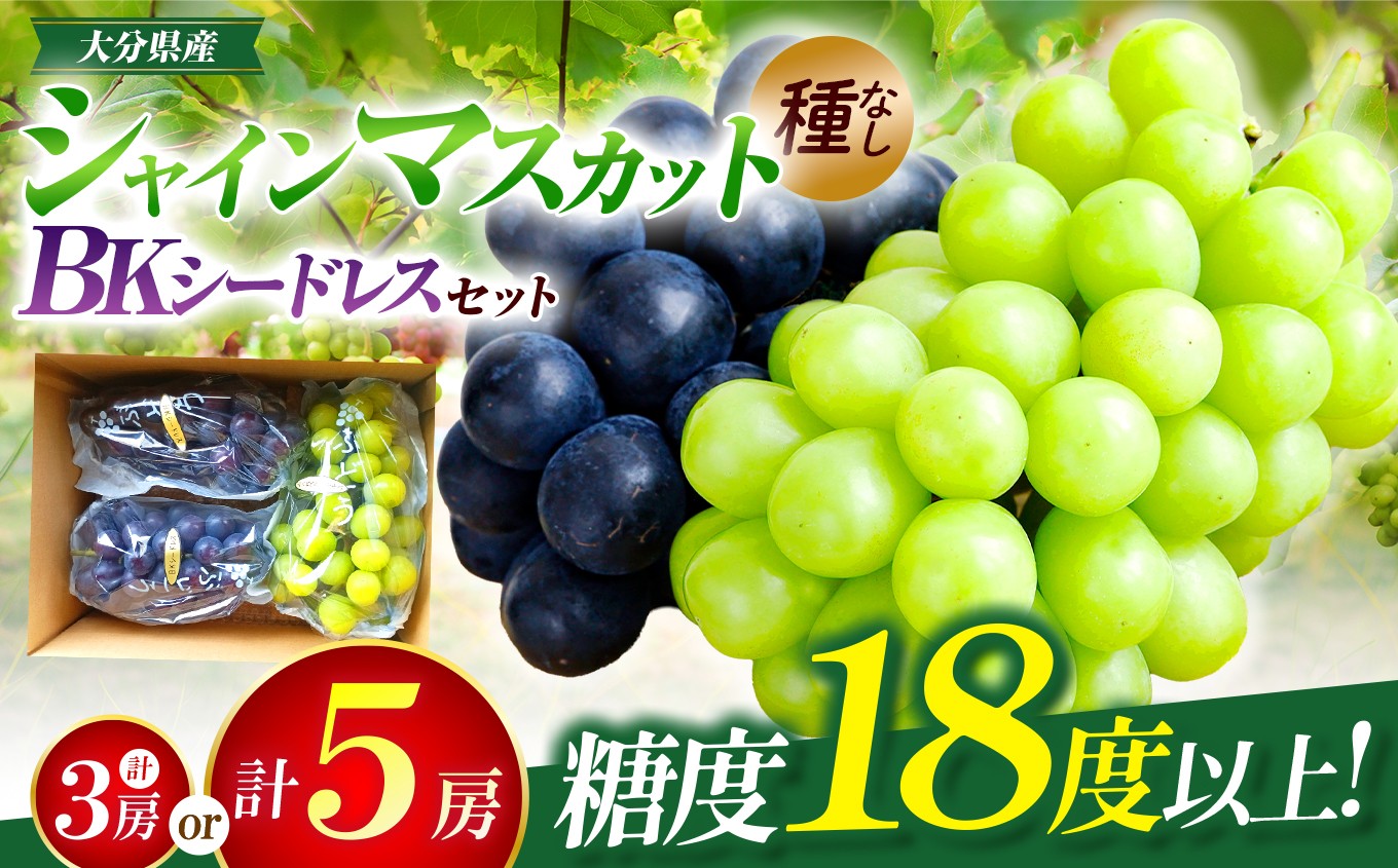 
                  【先行予約】選べる内容量！シャインマスカット＆BKシードレス ぶどう食べ比べセット（約1.8kg・約2.8kg）| フルーツ 果物 くだもの ぶどう ブドウ 葡萄 シャインマスカット マスカット 巨峰 種無し 食べ比べ 産地直送 大分県 中津市
                