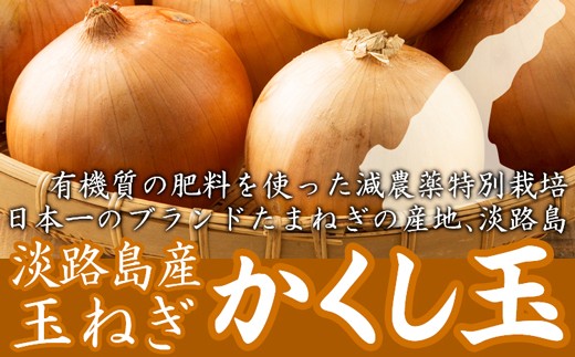 今井ファームの淡路島たまねぎ「かくし玉」5kgとたまねぎスープ10食
