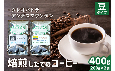 焙煎したてのコーヒー豆 2袋 (クレオパトラ・アンデスマウンテン)【豆】[0343]
