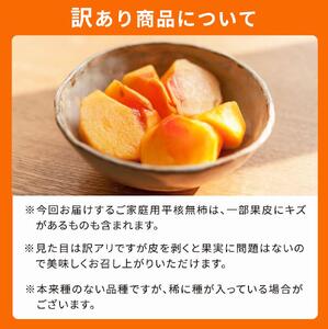 【ご家庭用】平核無柿（ひらたねなしがき）約３.５kg 和歌山秋の味覚【2024年発送】