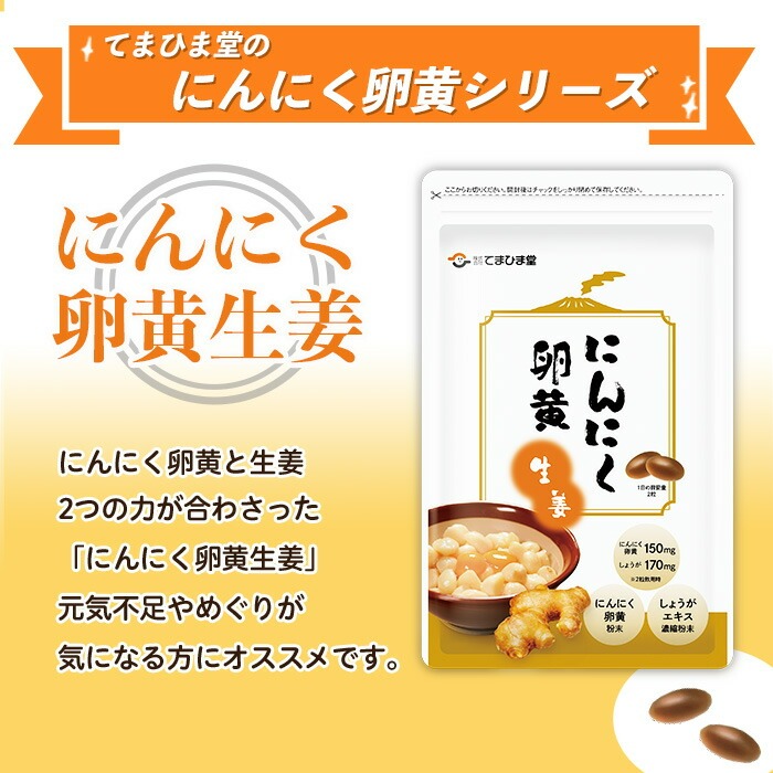 No.1285-A ＜定期便・全3回(隔月)＞てまひま にんにく卵黄生姜(1袋 62粒入り・2袋×3回)  鹿児島 日置市 ニンニク 健康食品 カプセル 生姜 サプリメント 定期便 【てまひま堂】