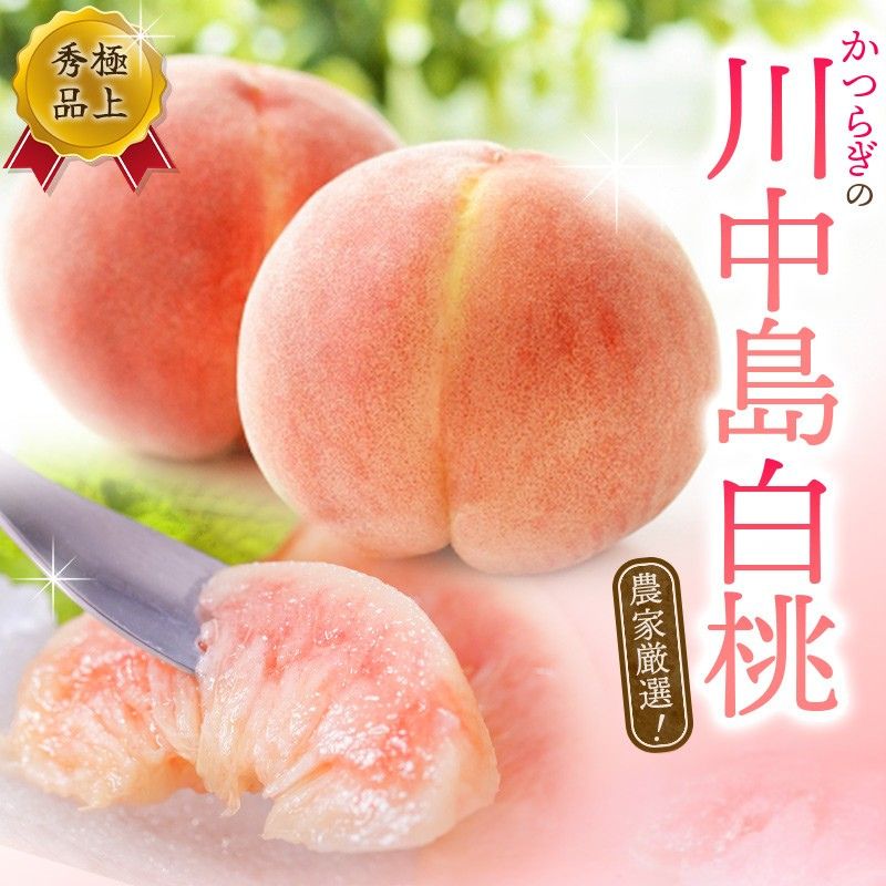 【ふるさと納税】 桃 もも 農家厳選 川中島白桃 大玉特秀品 3玉 or 約2kg（6個〜9個） 先行予約 選べる容量 桃 もも モモ 白桃 川中島 フルーツ 果物 くだもの 旬 人気 予約 和歌山 甘い 産地直送 送料無料 【2025年8月初旬頃〜8月末頃に順次発送予定（お届け日指定不可）】