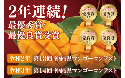 【2026年6月より順次発送】【先行予約】アーウィンマンゴー 3～6玉(約1.5kg)【白箱】 ご家庭用｜マンゴー アーウィンマンゴー アーウィン フルーツ 果物 くだもの おきなわマンゴー おきなわ