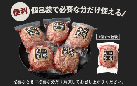 若狭牛入り 手ごね ハンバーグ 5個セット 計650g（便利な個包装 約130g × 5個）味付き【国産 福井県 小分け 冷凍】 [e02-a019]