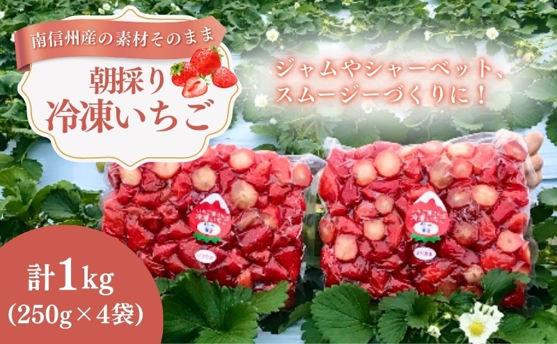 
                  南信州産「冷凍いちご」 1kg（250g×4袋）【ヨッシャア駒ヶ根】[№5659-1359]
                