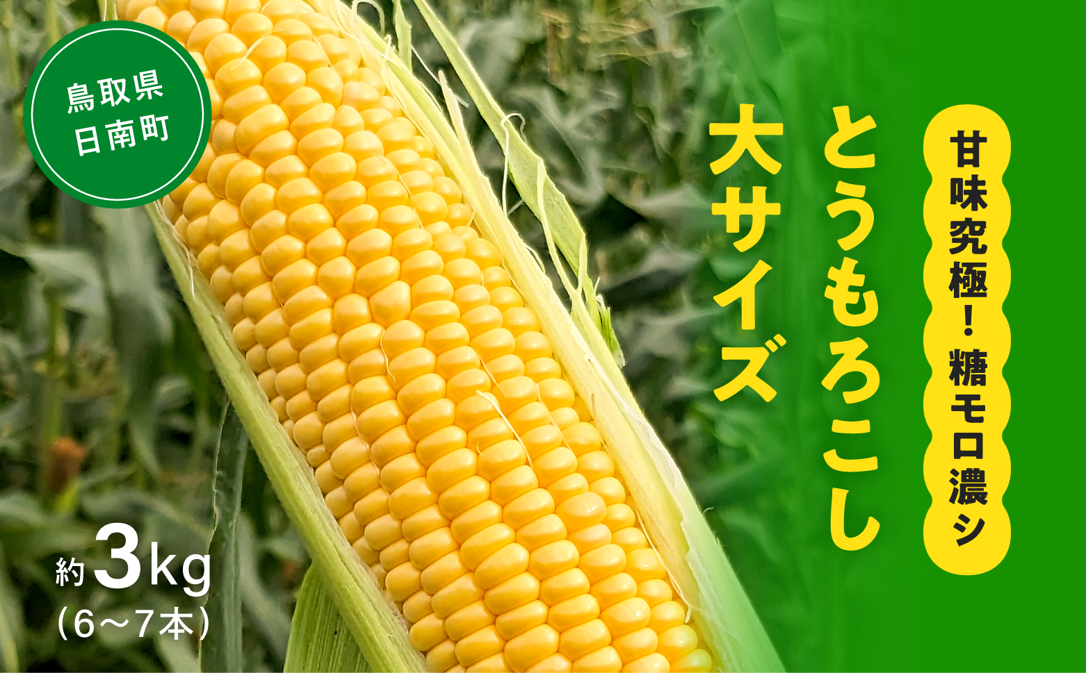 甘味究極！ 糖モロ濃シ 大サイズ 3kg(6～7本)【とうもろこし】朝どれ直送 スイートコーン 産地直送 【配送不可地域：離島】 鳥取県日南町 星の農園