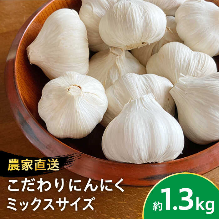【ふるさと納税】【農家直送！】こだわり にんにく 大小サイズいろいろ 約1.3kg 【一ノ瀬農園】ニンニク ガーリック 野菜 薬味 佐賀県 白石町 [IBQ001]