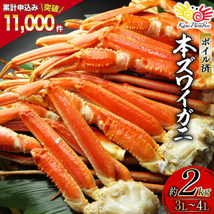 ボイル済み 本ずわいがに 脚 3L～4L 総重量2kg ( ズワイガニ ずわい蟹 ズワイ蟹 ずわい ズワイ 蟹 カニ カニ脚 蟹脚 )/ カネダイ / 宮城県 気仙沼市