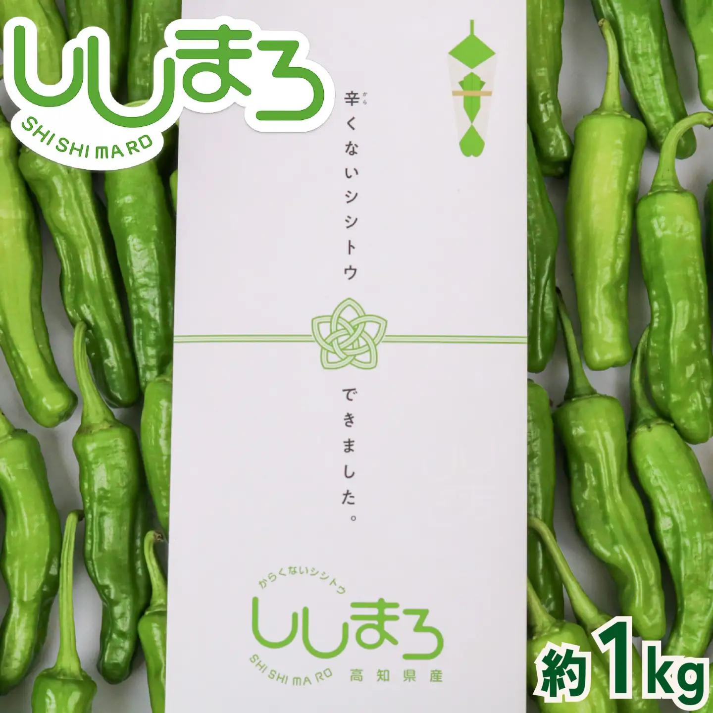 【先行予約】 ししとう 1kg 野菜 獅子唐 