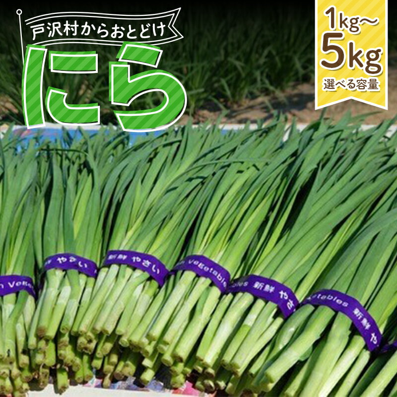 【ふるさと納税】 《容量が選べる》山形県 戸沢村産 にら 1kg(10束)／2kg(20束)／3kg(30束)／4kg(40束)／5kg(50束) 2026年5月下旬から順次発送 国産 野菜 やさい 韮 ニラ 料理 餃子 炒め物 惣菜 自宅 家庭 F7W-0336var