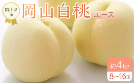 岡山県産 桃 岡山白桃 2025年 先行予約 エース 約4kg（8～16玉）もも モモ フルーツ 果物 ギフト