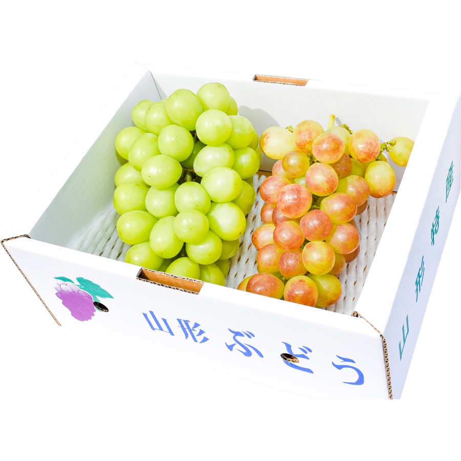 ＜ジオンジファーム＞大粒ぶどう2房（シャインマスカット＆品種お任せ）計1kg以上