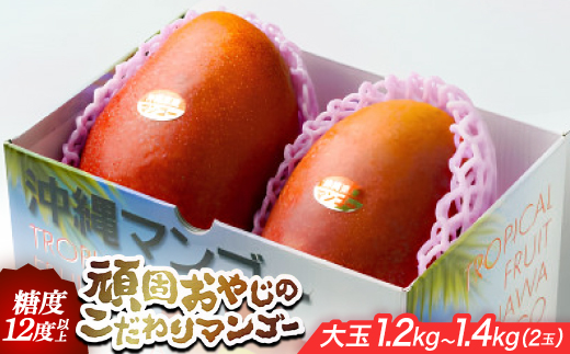 【2026年発送・糖度12度以上保証】頑固おやじのこだわりマンゴー大玉1.2kg～1.4kg(2玉)【配送不可地域：離島】