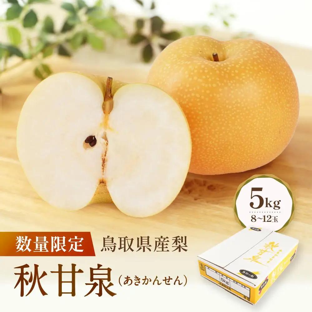 秋甘泉 5kg 8～12玉 数量限定 鳥取県産 梨 梨