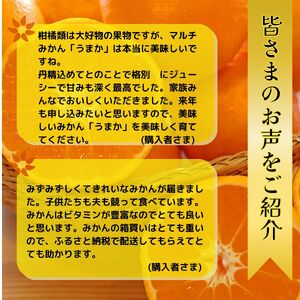 マルチみかん「うまか」《11月中旬-12月末頃に出荷予定(土日祝除く)》【配送不可地域あり】※離島 みかんみかんみかんみかんみかん